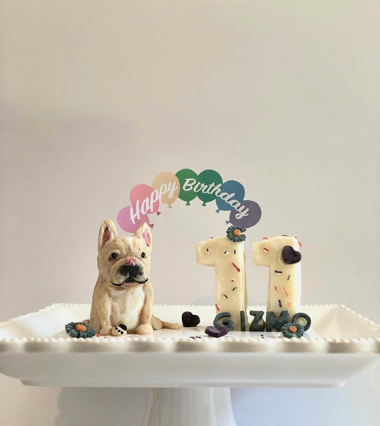 PupBody cake