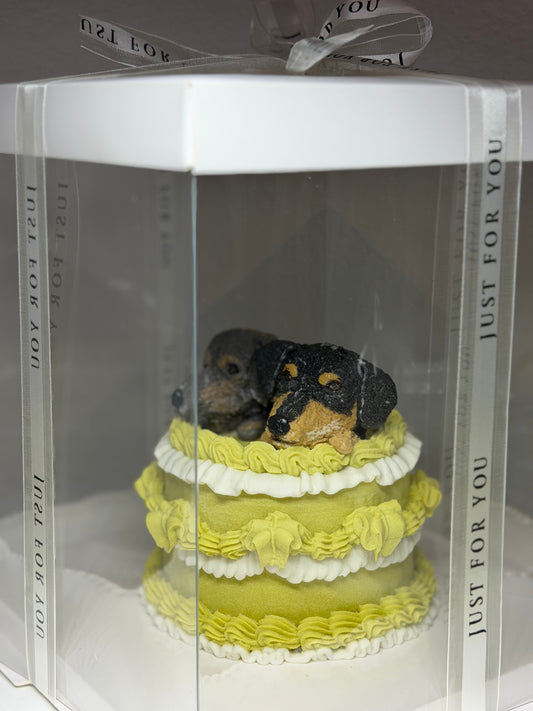 Vintage cake with face