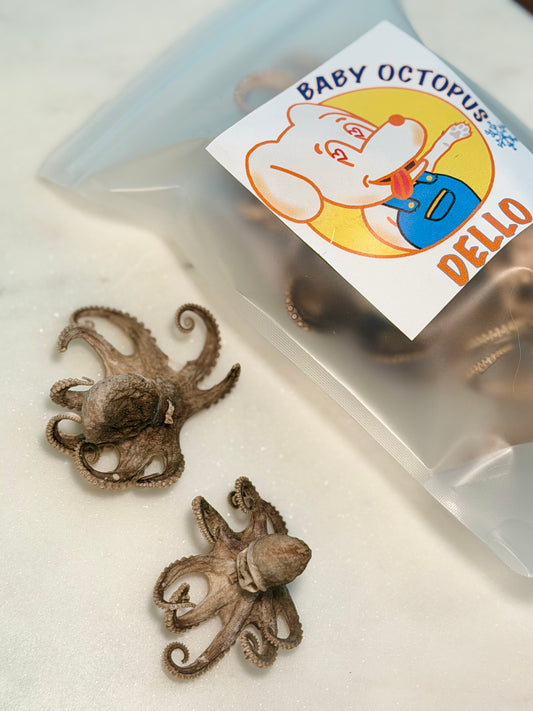 Wild Caught Baby Octopus