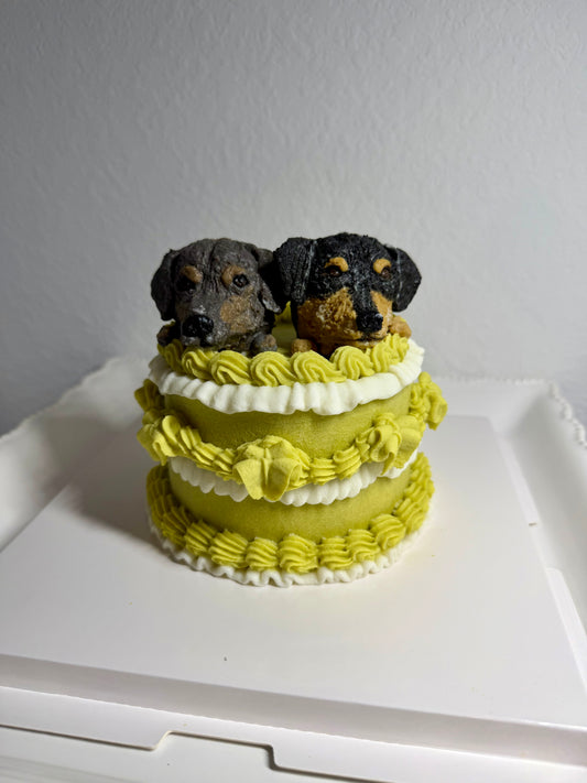 Vintage cake with face
